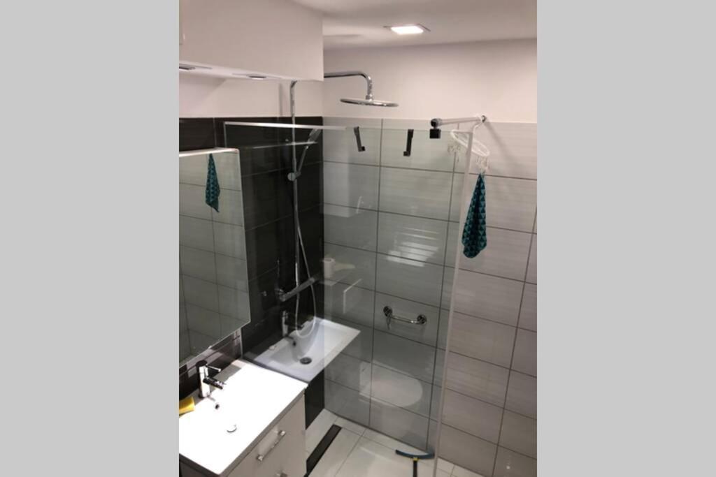 Apartament Sikornik Gliwice Eksteriør bilde